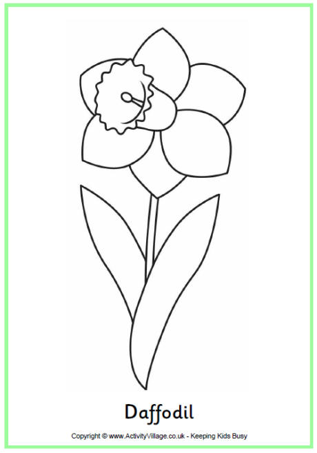 daffodil_colouring_page_460