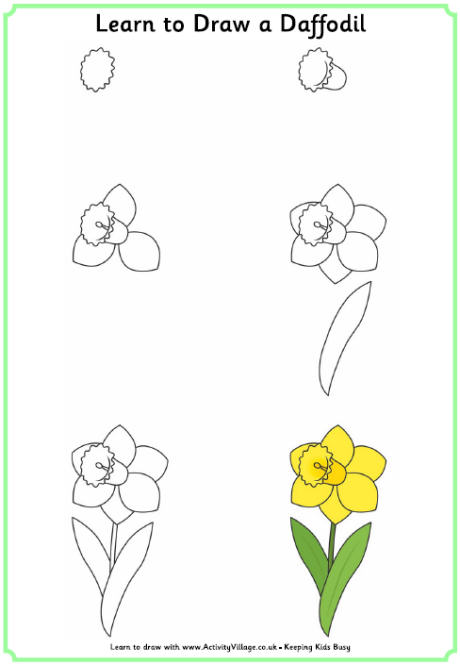 learn_to_draw_a_daffodil_460_0