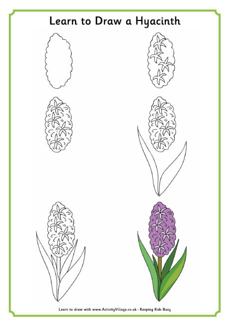 learn_to_draw_a_hyacinth_460_2