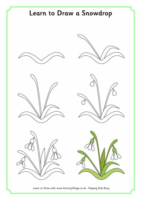 learn_to_draw_a_snowdrop_460_0