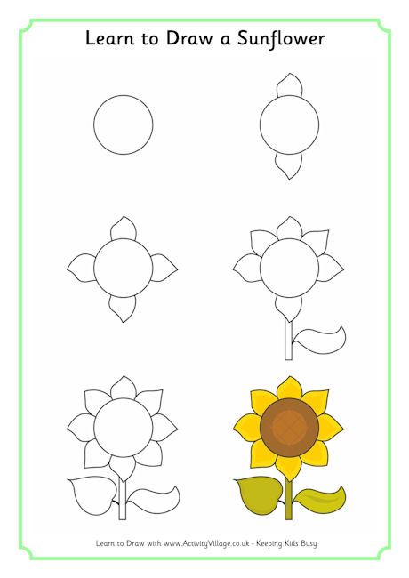 learn_to_draw_a_sunflower_460_0