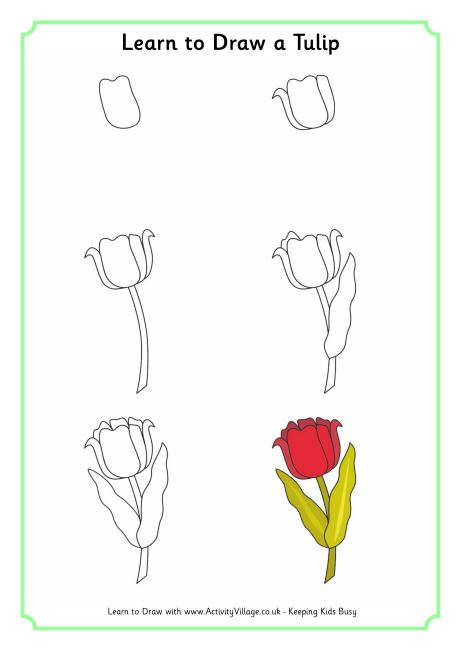 learn_to_draw_a_tulip_460_0