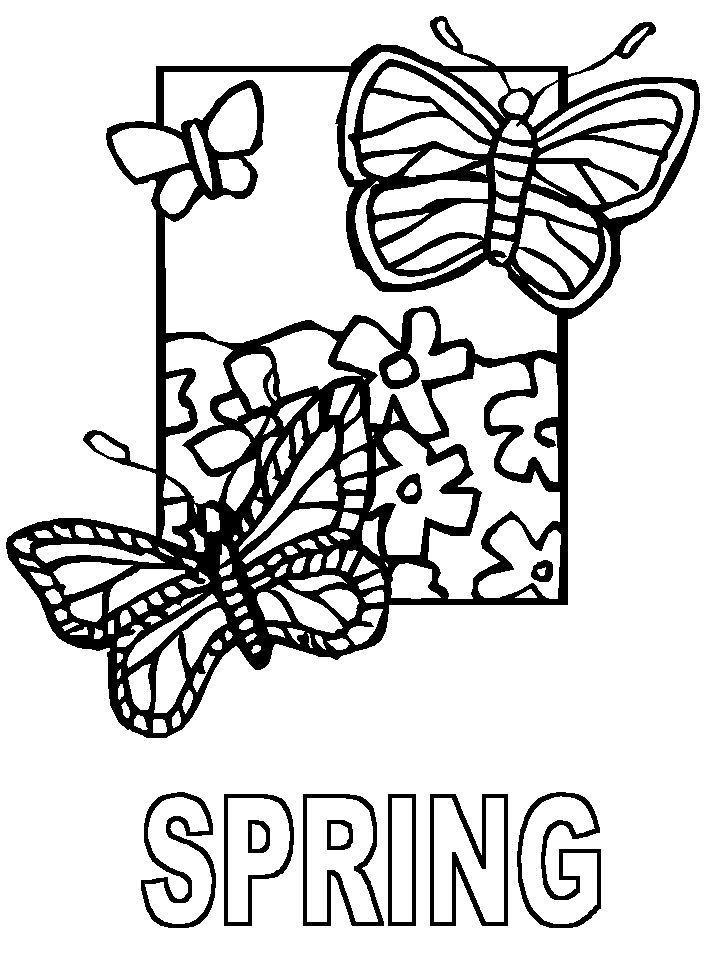 bspring1