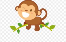 قصه کودکانه میمون کوچولوی بی ادب