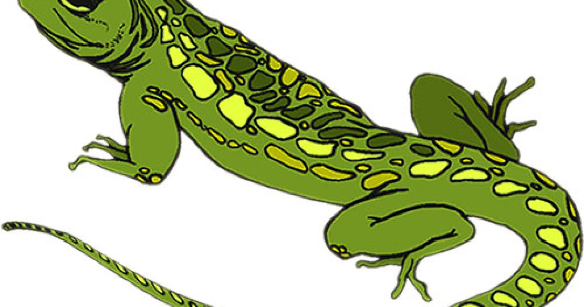 green-lizard