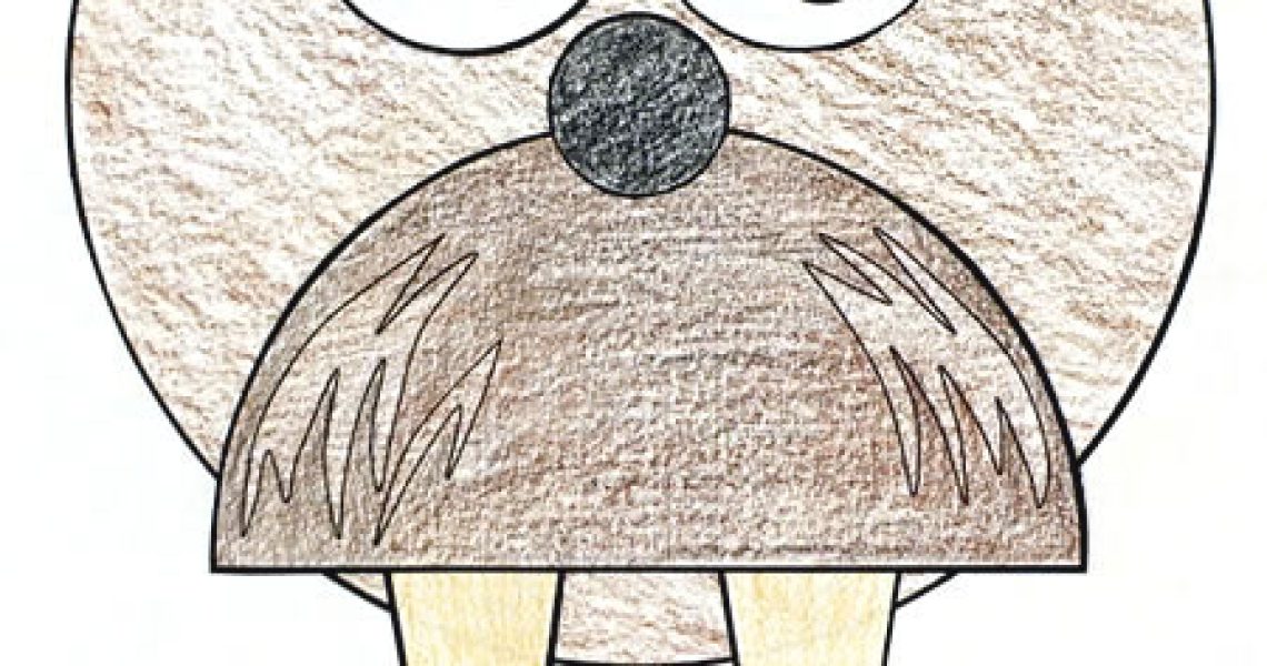 walrus-shapes-craft